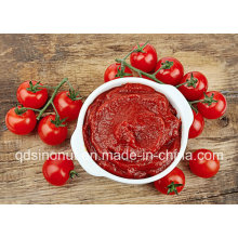 800g 22-24% Tomato Paste for MID East Market